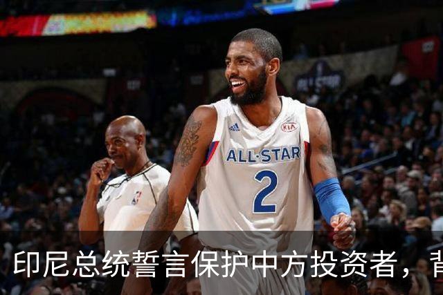 印尼总统誓言保护中方投资者，背后考量不容忽视